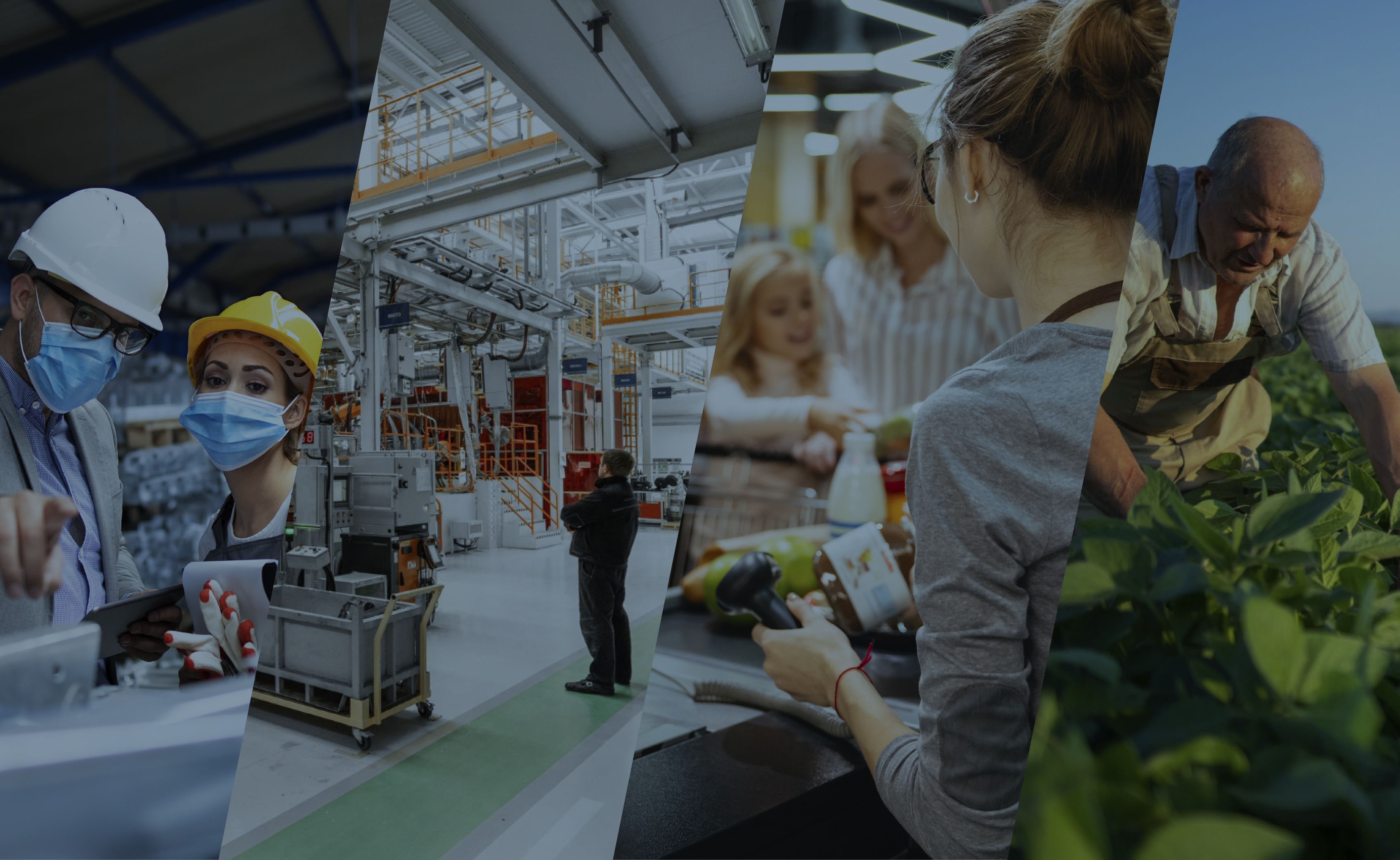 ¿Tu software se adapta a tu negocio o tú te adaptas a él? El reto de la flexibilidad empresarial - Image